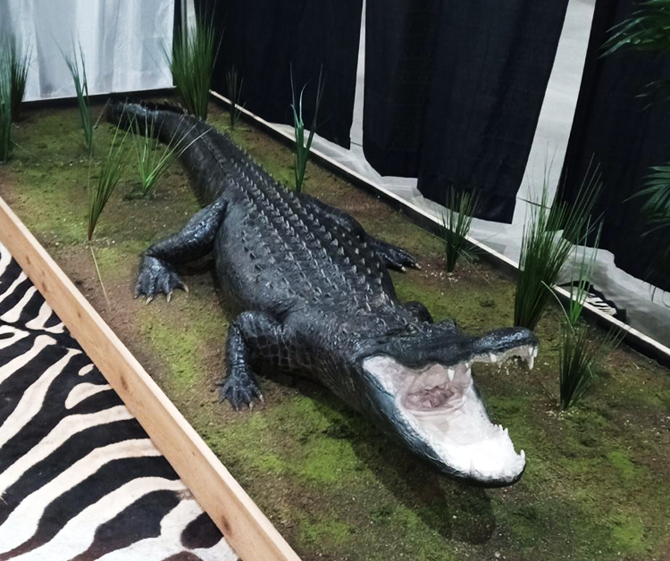 Gator.jpg